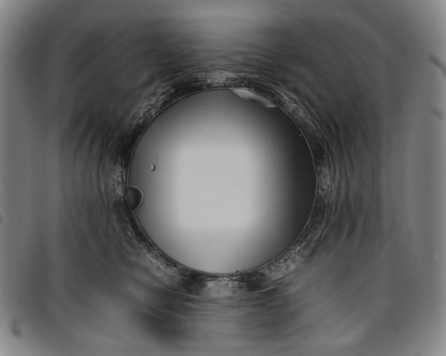 X0000096670470200802191333