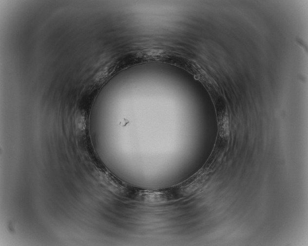 X0000096670472200802191333