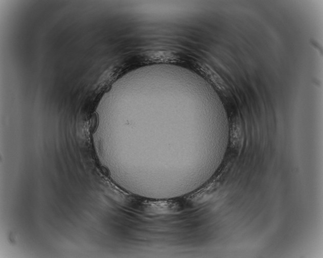 X0000096670473200802191333