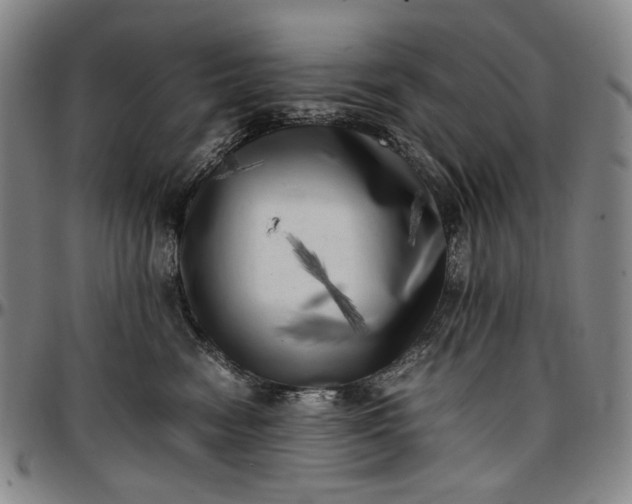 X0000096670474200802191333