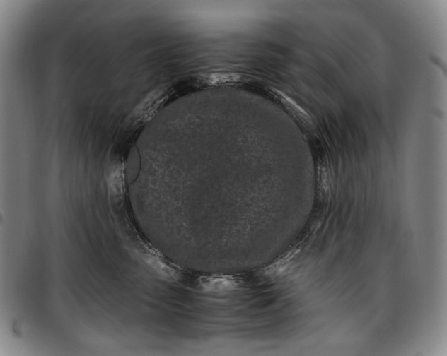 X0000096670475200802191333