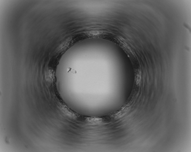 X0000096670476200802191333