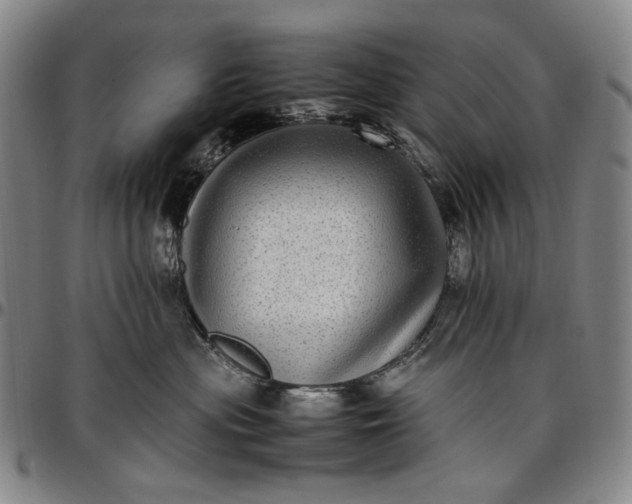 X0000096670477200802191333
