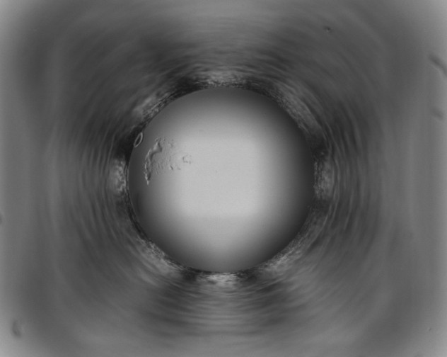 X0000096670478200802191333