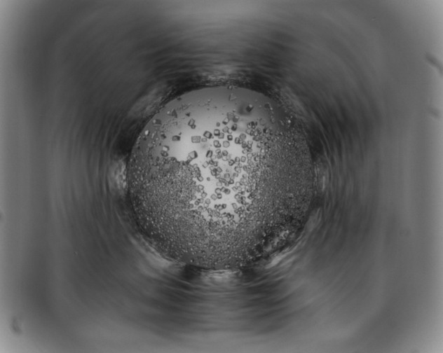 X0000096670479200802191333