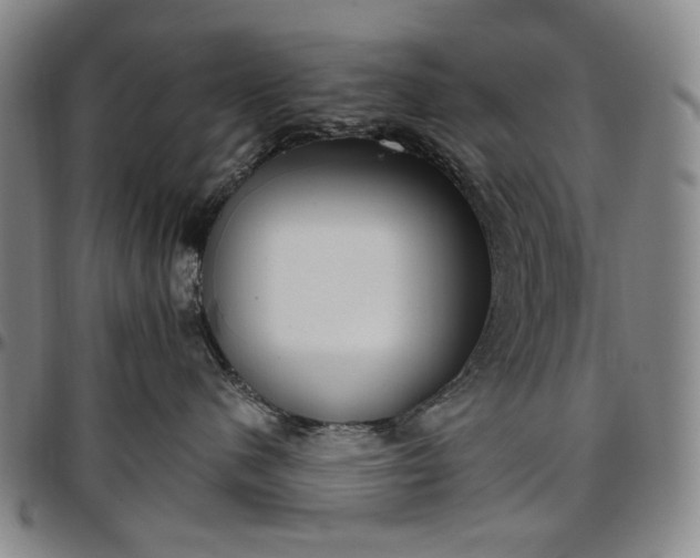 X0000096670480200802191333