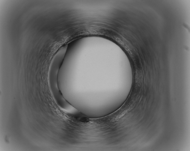 X0000096670481200802191333