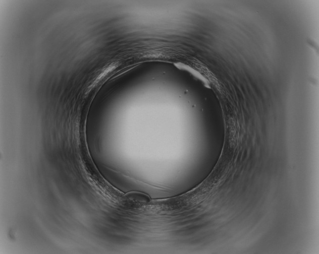 X0000096670482200802191333