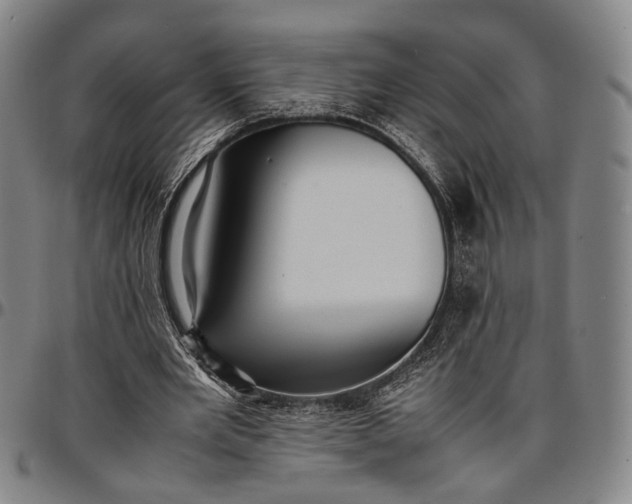 X0000096670485200802191333