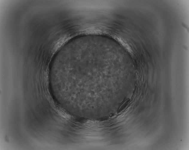 X0000096670487200802191333