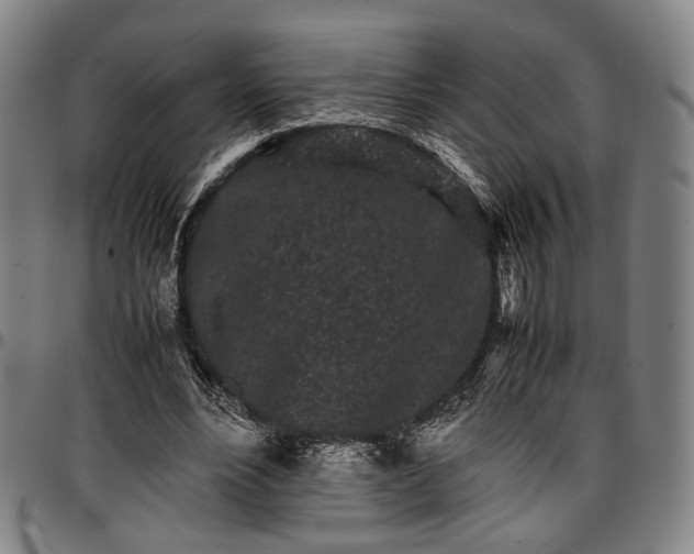 X0000096670488200802191333