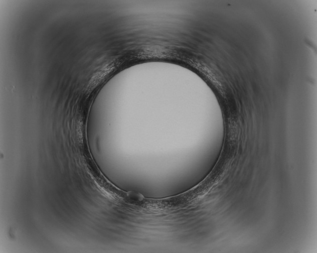 X0000096670489200802191333
