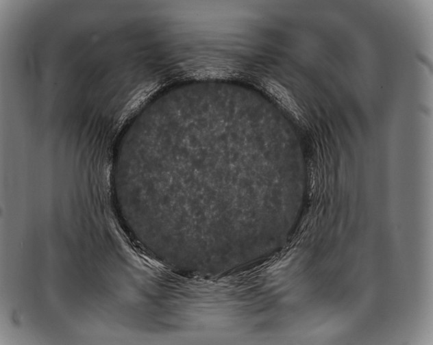 X0000096670491200802191333