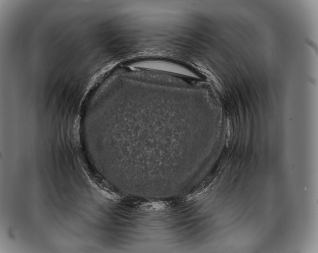 X0000096670492200802191333