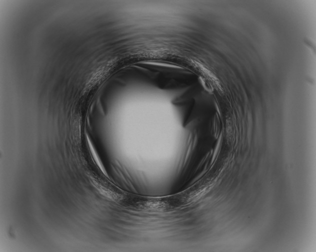 X0000096670493200802191333
