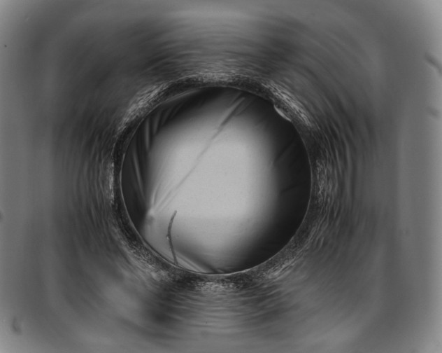 X0000096670494200802191333
