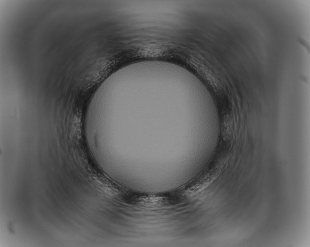X0000096670497200802191333