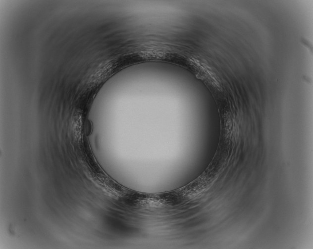 X0000096670498200802191333