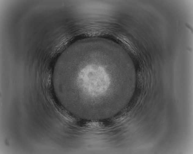 X0000096670499200802191333