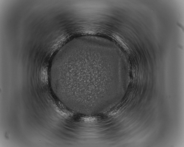 X0000096670500200802191333