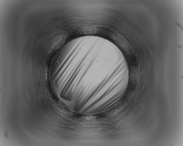 X0000096670501200802191333