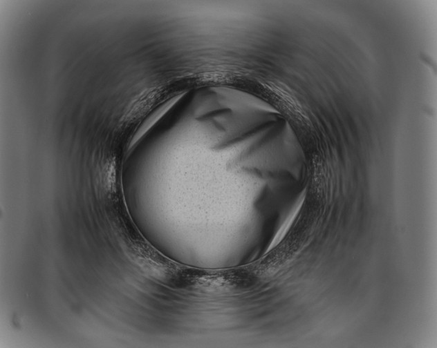 X0000096670502200802191333