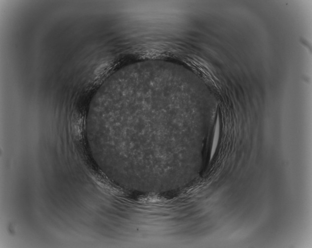 X0000096670503200802191333