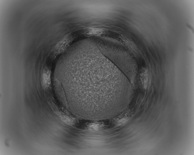 X0000096670504200802191333