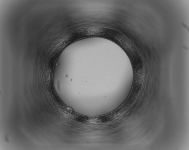 X0000096670505200802191332