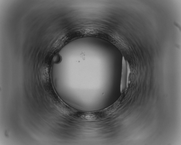 X0000096670506200802191332