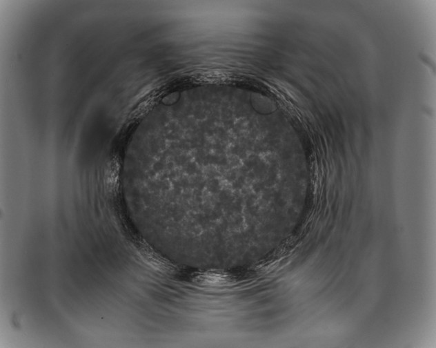X0000096670507200802191332