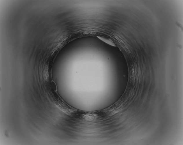 X0000096670508200802191332