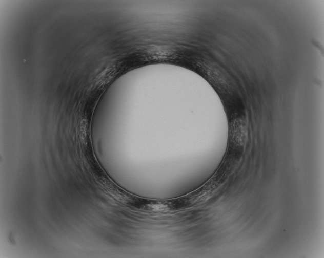X0000096670509200802191332