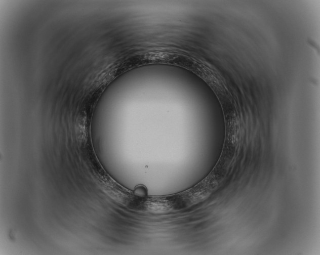 X0000096670510200802191332