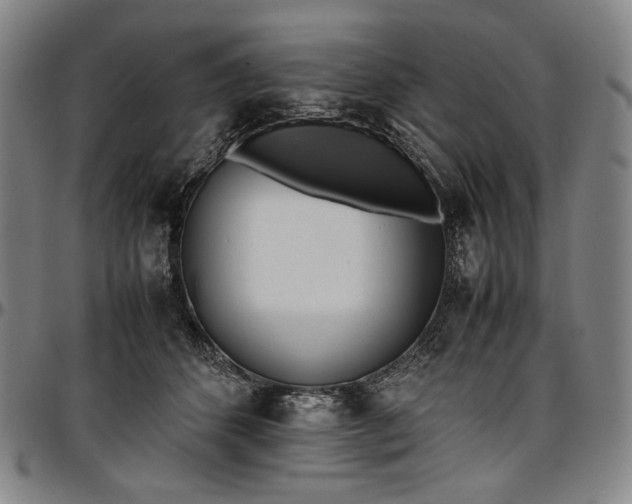 X0000096670512200802191332