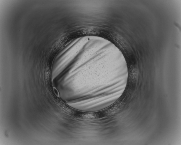 X0000096670513200802191332
