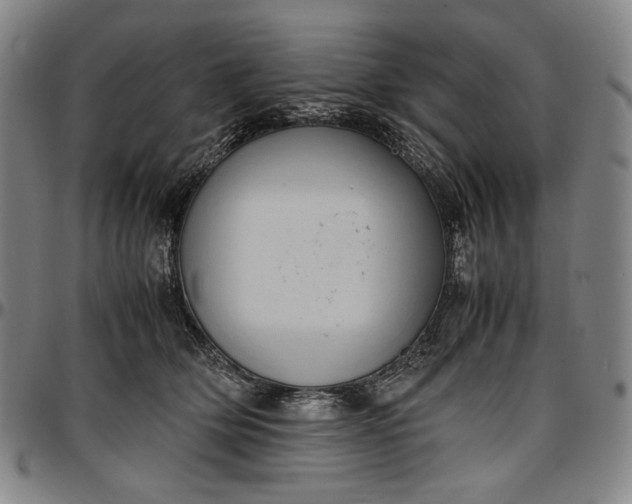 X0000096670514200802191332
