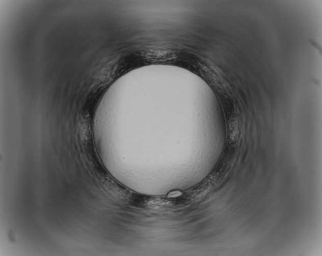 X0000096670515200802191332