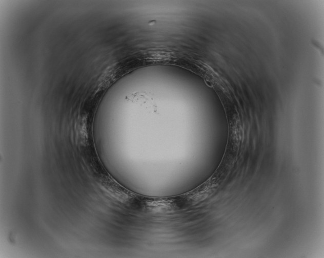 X0000096670516200802191332