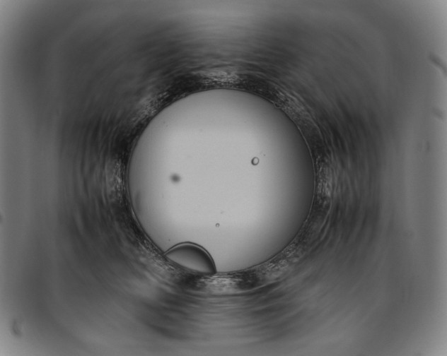 X0000096670518200802191332