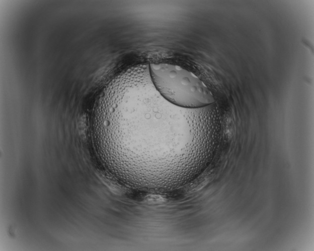 X0000096670519200802191332