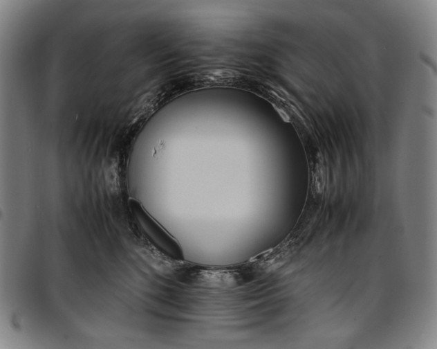 X0000096670520200802191332
