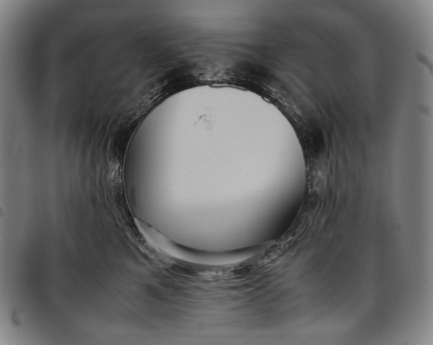 X0000096670521200802191332