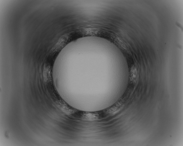 X0000096670522200802191332