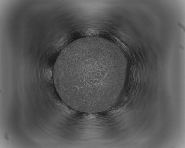 X0000096670523200802191332