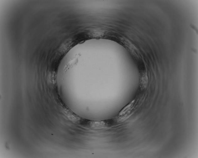 X0000096670525200802191332