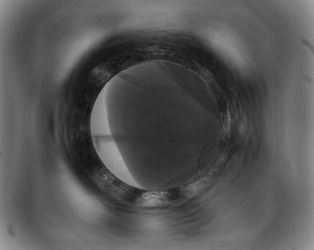 X0000096670526200802191332