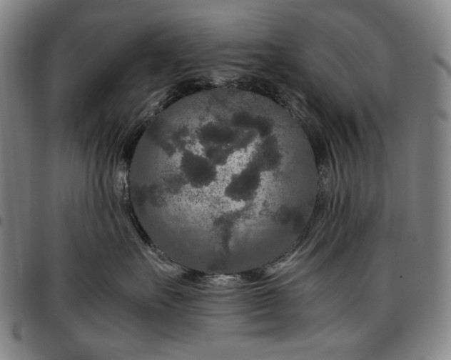X0000096670527200802191332
