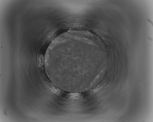 X0000096670528200802191332