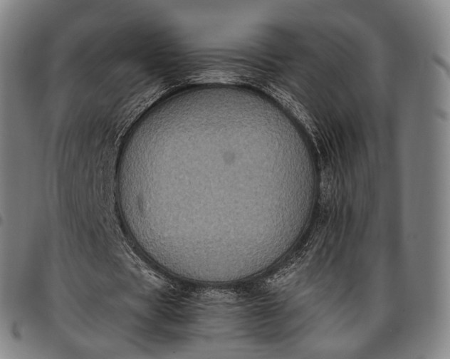 X0000096670529200802191331